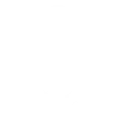 Bezpieczeństwo Icon